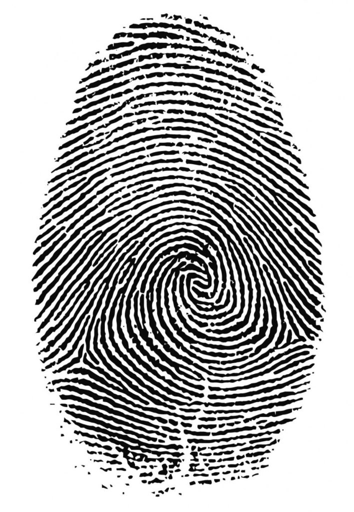 God’s Fingerprint | More than Useless